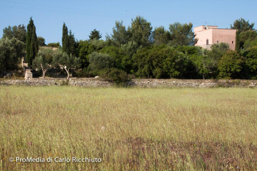 Masseria Moresano Bed and Breakfast Ugento Værelse billede